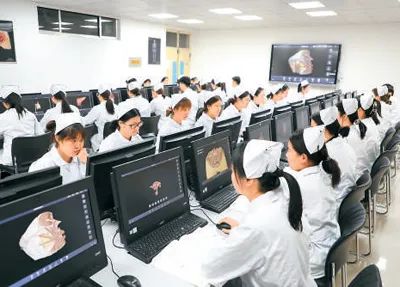 醫(yī)學技術(shù)與護理系學生運用人體解剖虛擬仿真資源進行自主學習。