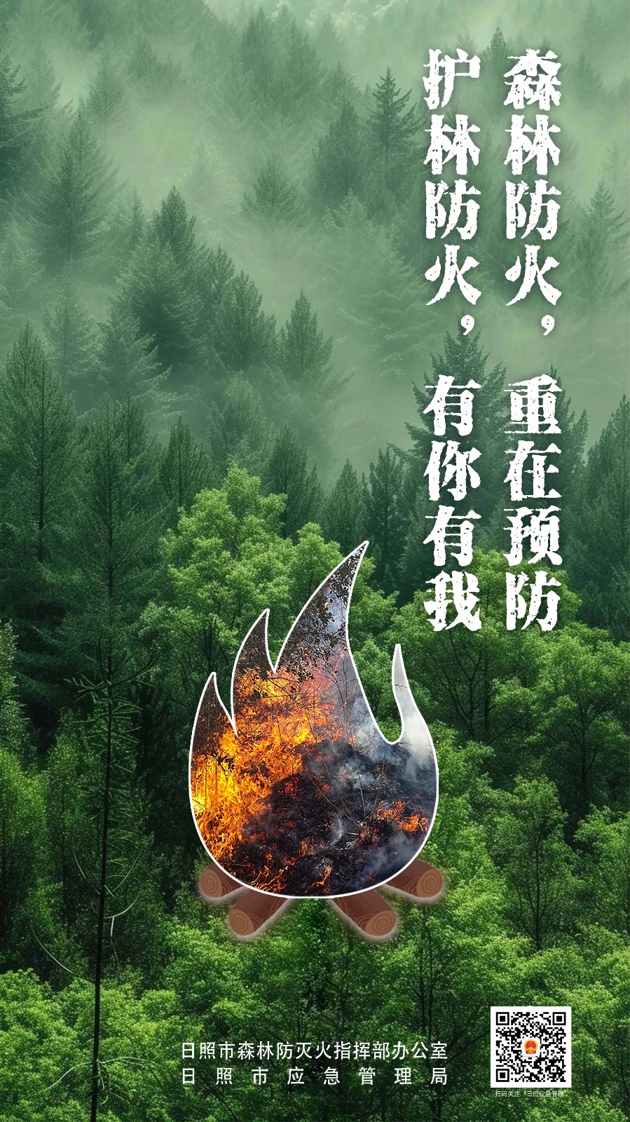 森林.jpg