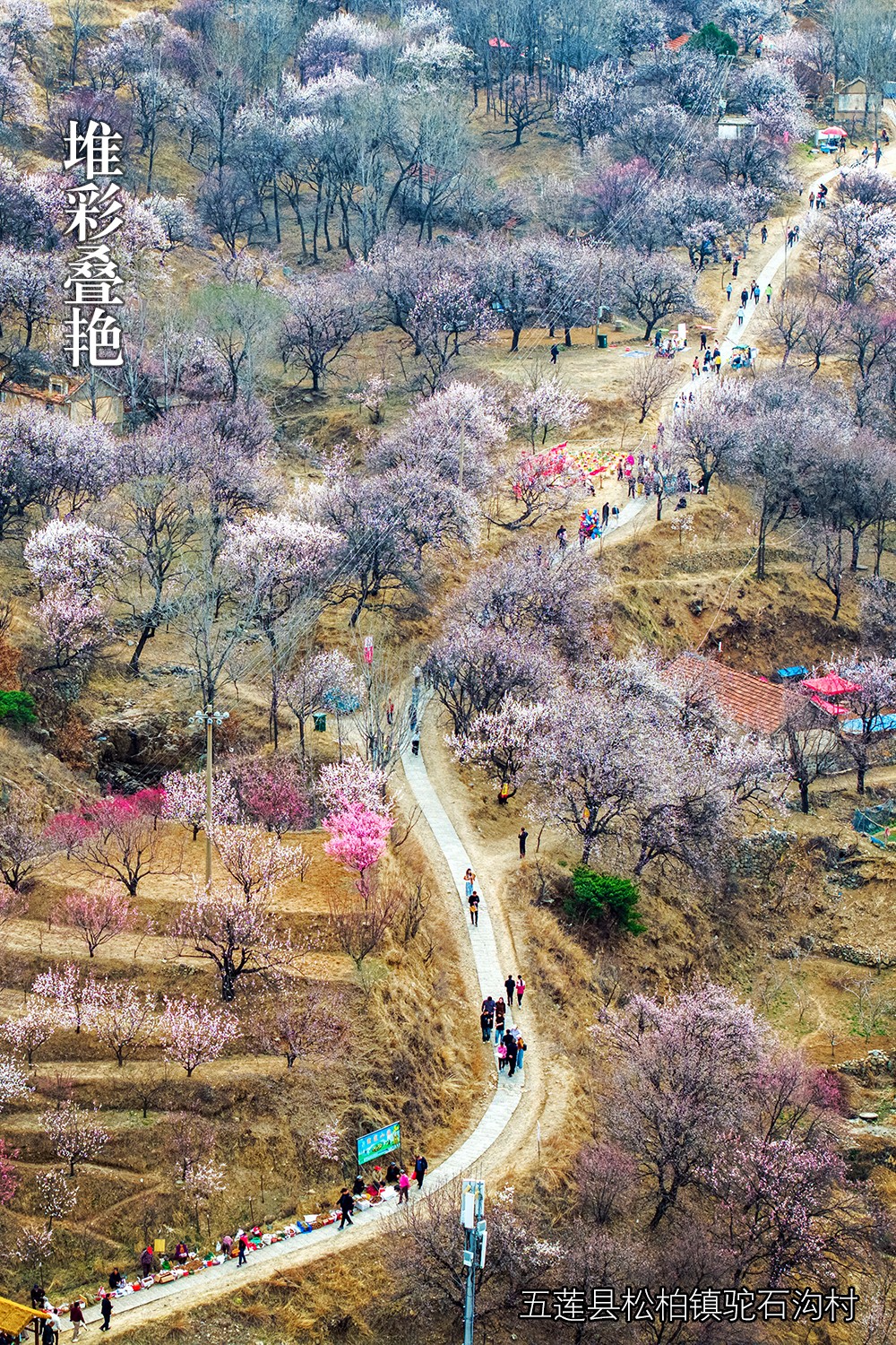 周四.jpg