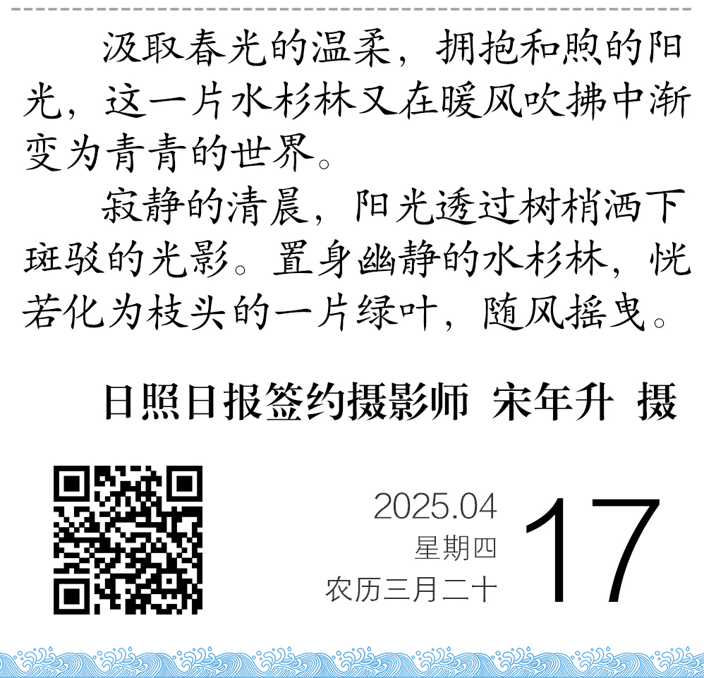 21511744811895_.pic.jpg