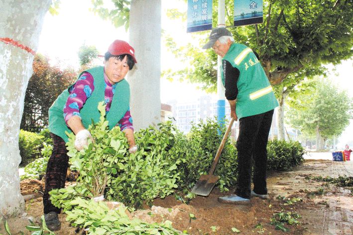 增植補綠扮靚環(huán)境