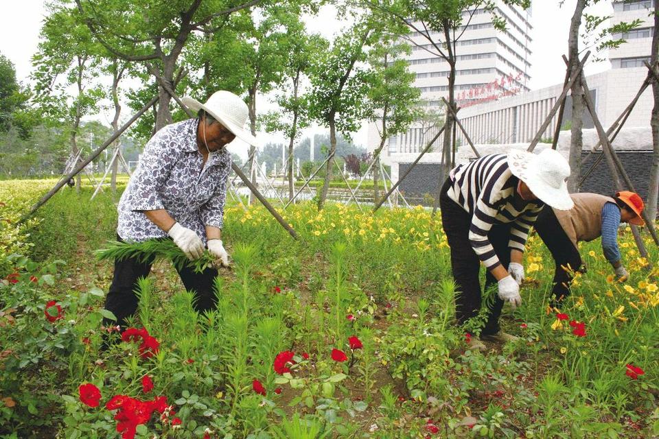 街頭鎮(zhèn)護水養(yǎng)綠打造生態(tài)綠色景觀