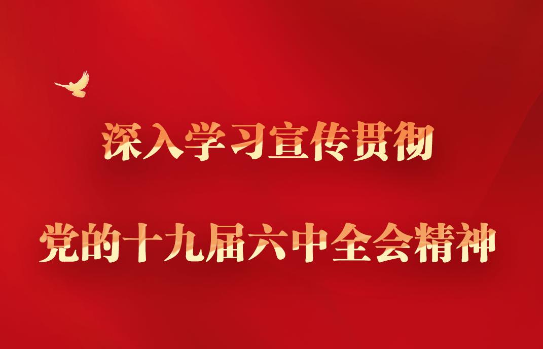 深入學(xué)習(xí)宣傳貫徹黨的十九屆六中全會(huì)精神