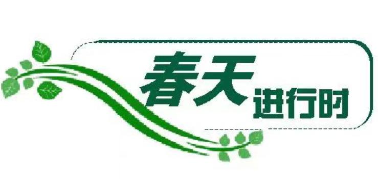 春天進(jìn)行時(shí)