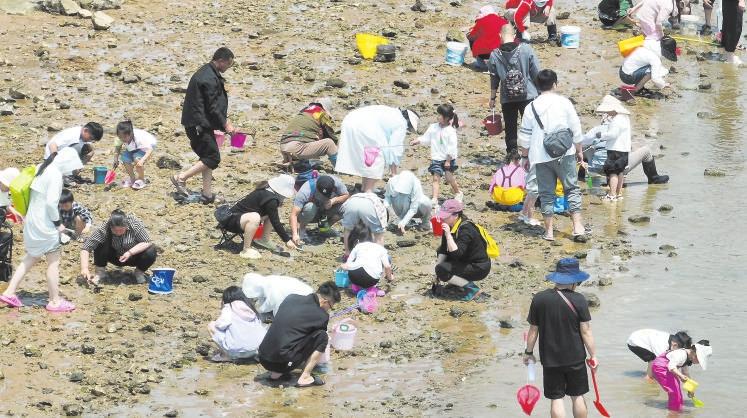 趕海露營 樂享假期